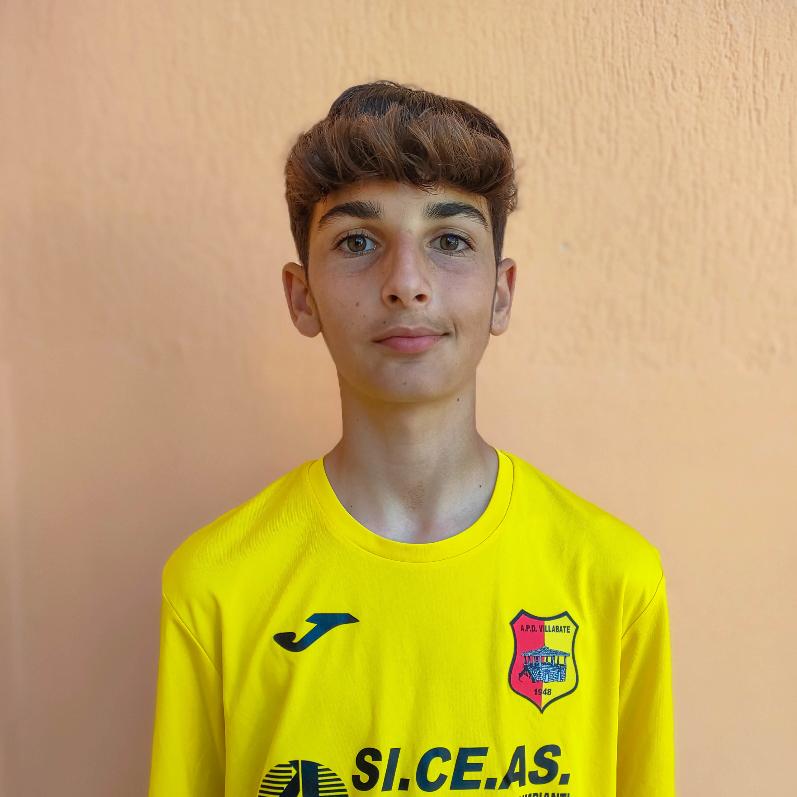 LOGIUDICE_ALESSANDRO